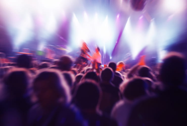 Crowd on a Concert in a Hall